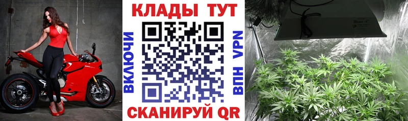 Наркота Сарапул A PVP  Псилоцибиновые грибы  Мефедрон  АМФЕТАМИН  Гашиш  Канабис 