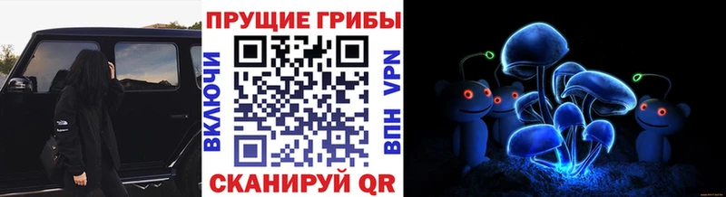 Галлюциногенные грибы GOLDEN TEACHER  ссылка на мегу зеркало  Сарапул  где можно купить  