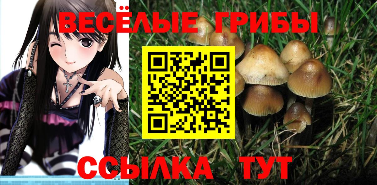 Галлюциногенные грибы прущие грибы  Галлюциногенные грибы Magic Shrooms  Вход с VPN  Сарапул 