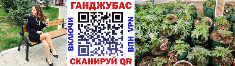 купить  цена  маркетплейс официальный сайт  Канабис AK-47  Сарапул 